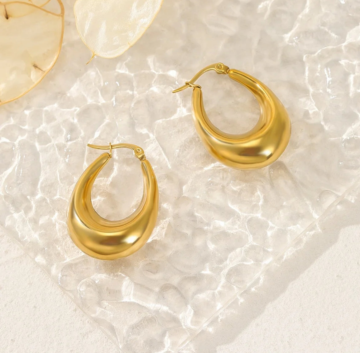 Chloe Oval Hoops