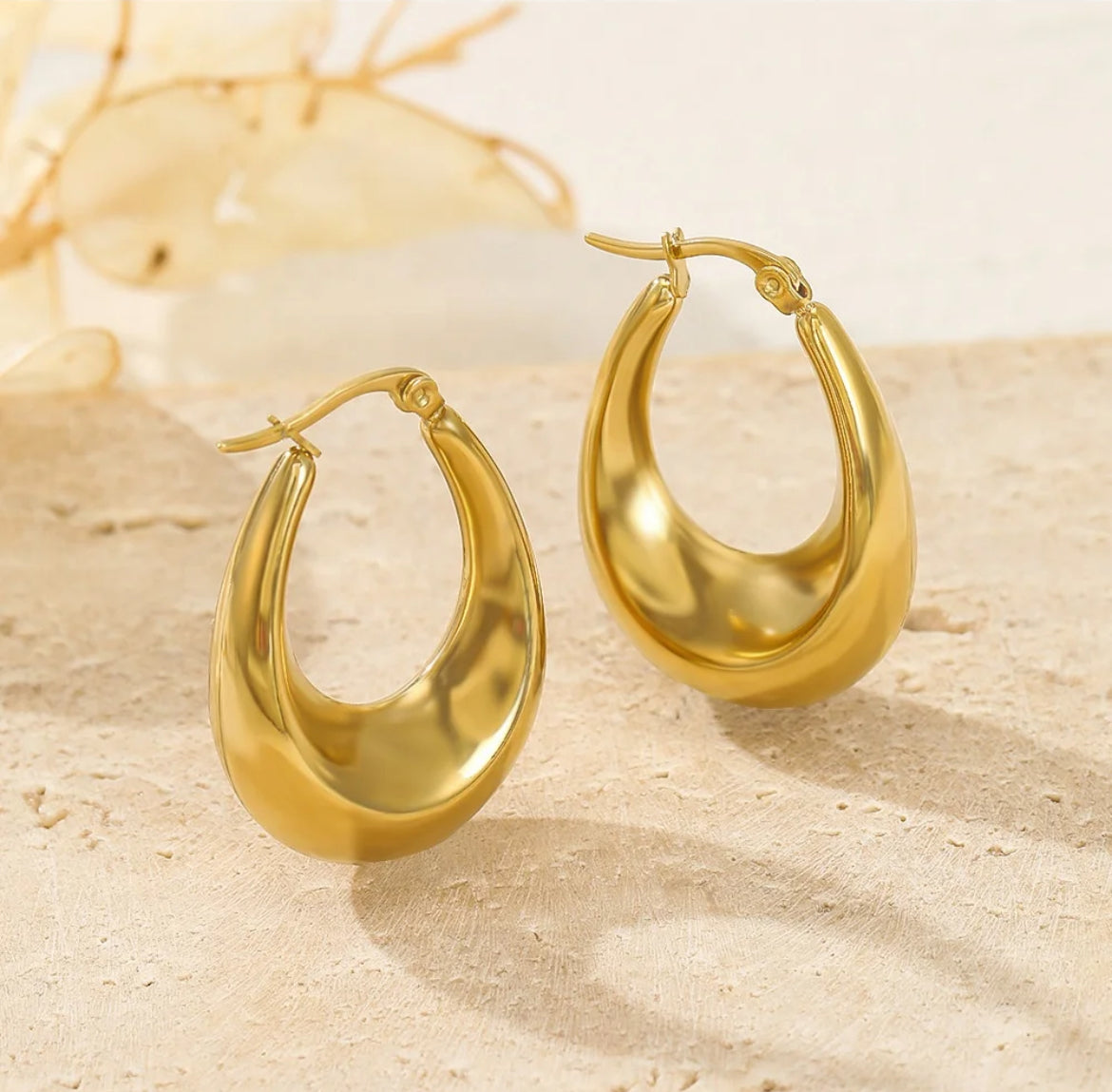 Chloe Oval Hoops